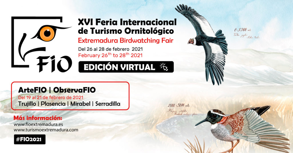 Participamos FIO B2B EXTREMADURA