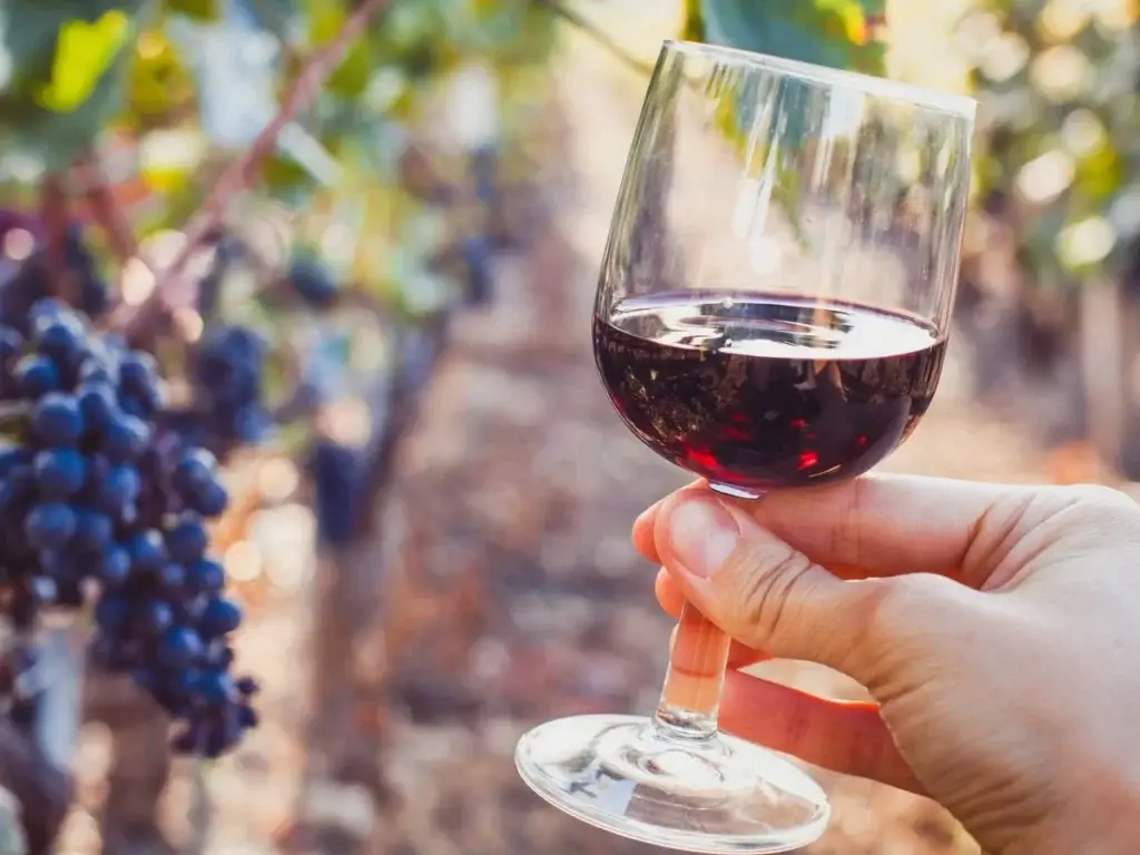 Enogastronomía en La Rioja