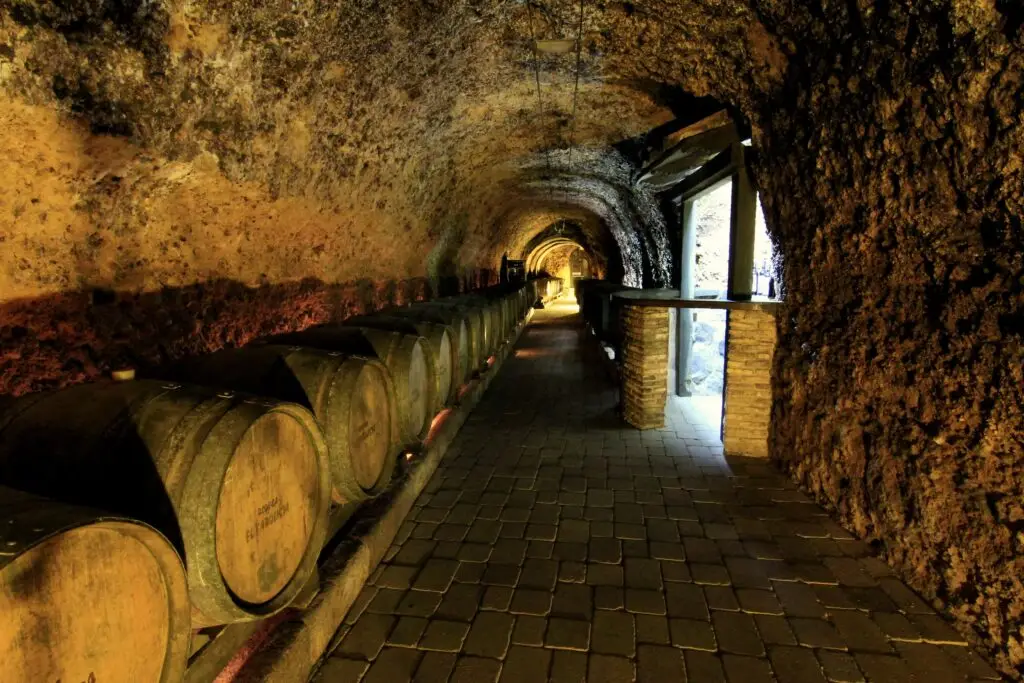 Rioja Alavesa, entre viñedos y trujales