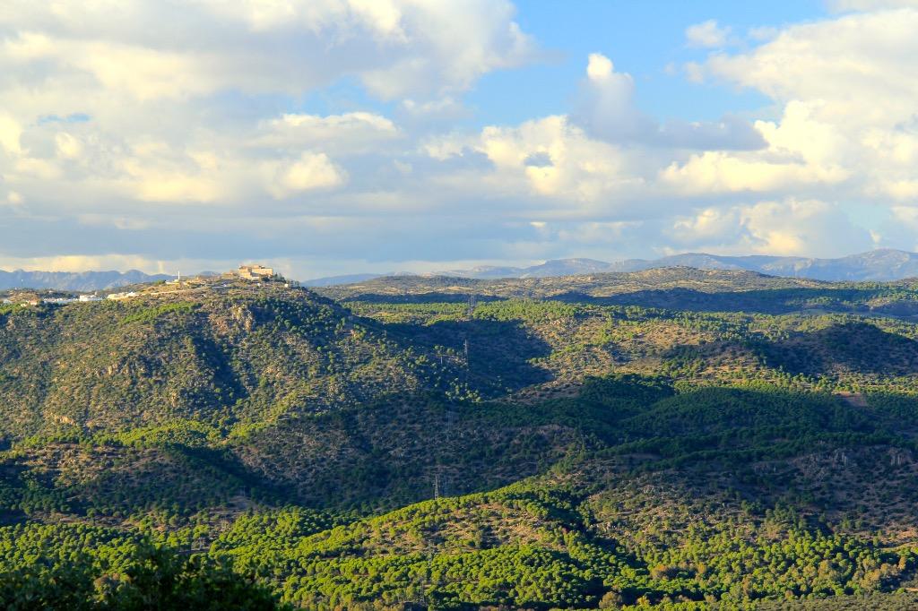 La Berrea en la sierra de Andújar